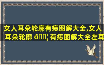 女人耳朵轮廓有痣图解大全,女人耳朵轮廓 🐦 有痣图解大全左耳
